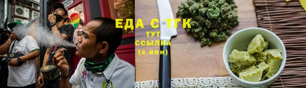 индика Абинск