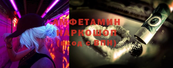 индика Абинск