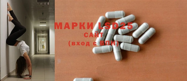 индика Абинск