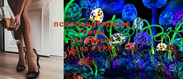 ECSTASY Абаза