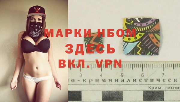 индика Абинск