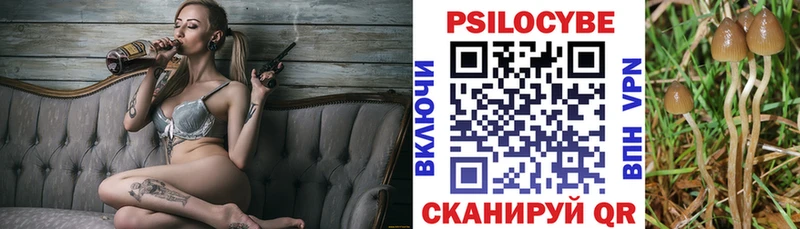 Псилоцибиновые грибы MAGIC MUSHROOMS  где купить наркоту  Чегем 